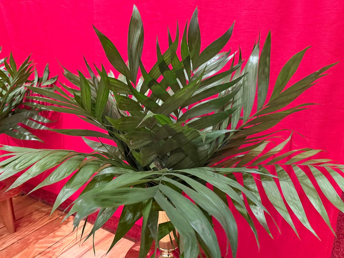 Letting These Stories Define Our Reality